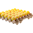 Chicki Micki Eier Sahne 17% Vol. 30x20ml | Bild 2